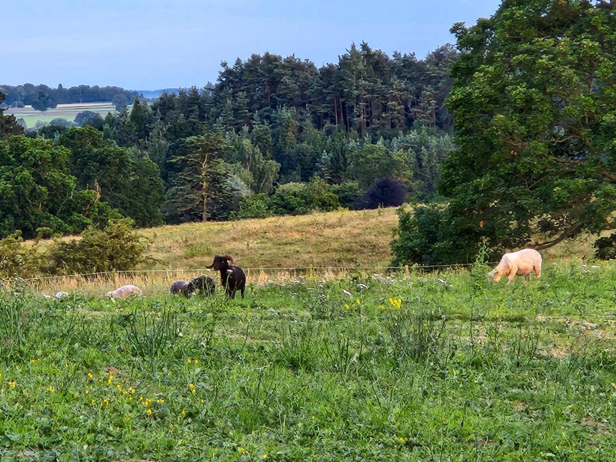 Highcroft & Windale @ Wetheral * Great Salkeld